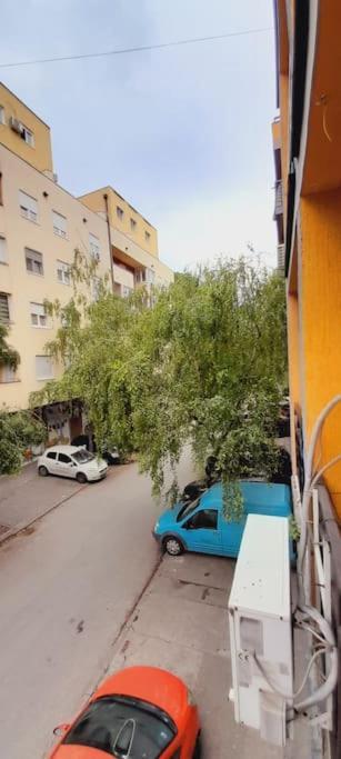 Studio Marko Novi Sad Exteriör bild